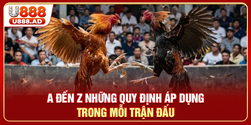 A đến Z những quy định áp dụng trong mỗi trận đấu