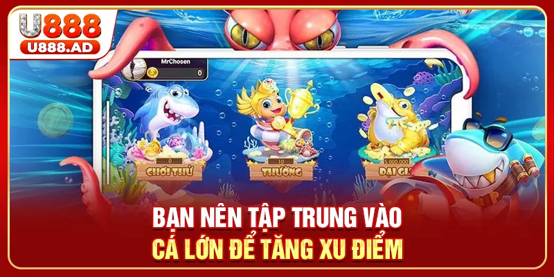 Bạn nên tập trung vào cá lớn để tăng xu điểm