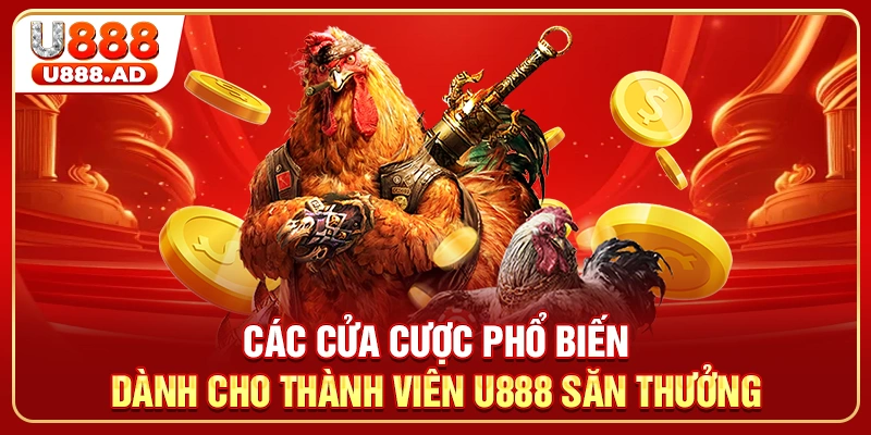Các cửa cược phổ biến dành cho thành viên U888 săn thưởng