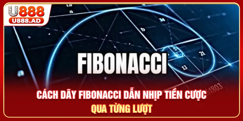 Cách dãy Fibonacci dẫn nhịp tiền cược qua từng lượt