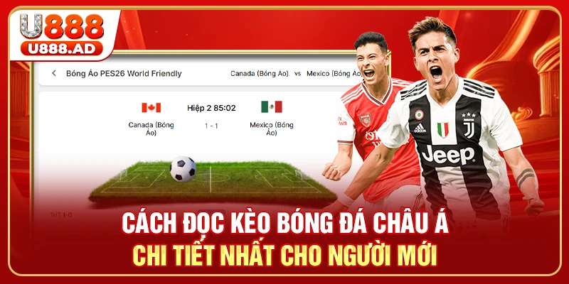 Cách Đọc Kèo Bóng Đá Châu Á Chi Tiết Nhất Cho Người Mới