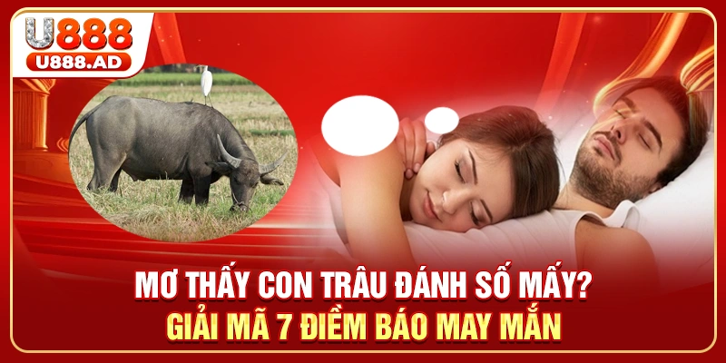 Mơ Thấy Con Trâu Đánh Số Mấy? Giải Mã 7 Điềm Báo May Mắn