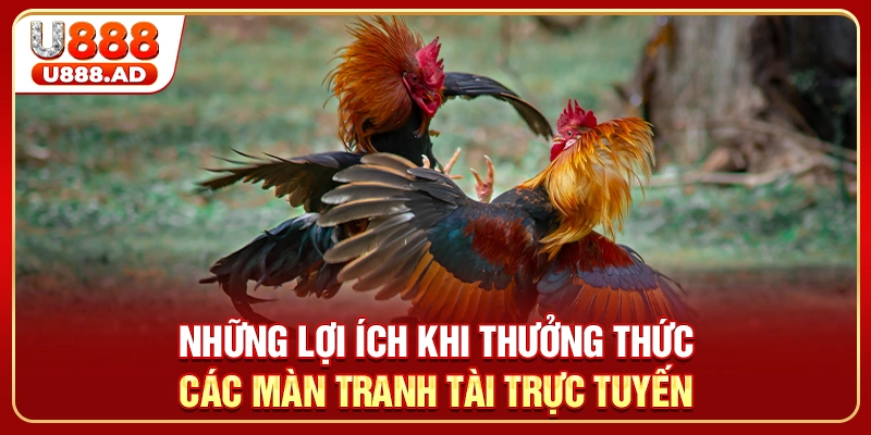Những lợi ích khi thưởng thức các màn tranh tài trực tuyến