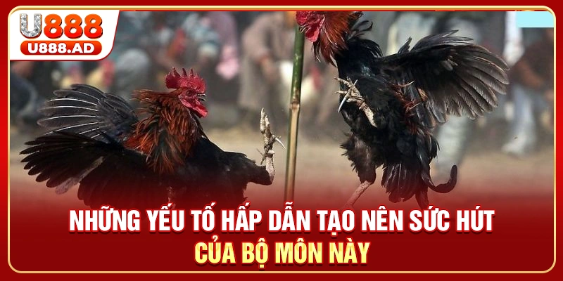 Những yếu tố hấp dẫn tạo nên sức hút của bộ môn này