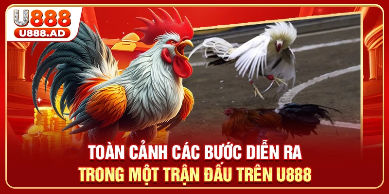 Toàn cảnh các bước diễn ra trong một trận đấu trên U888