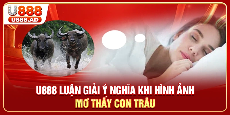 U888 luận giải ý nghĩa khi hình ảnh mơ thấy con trâu